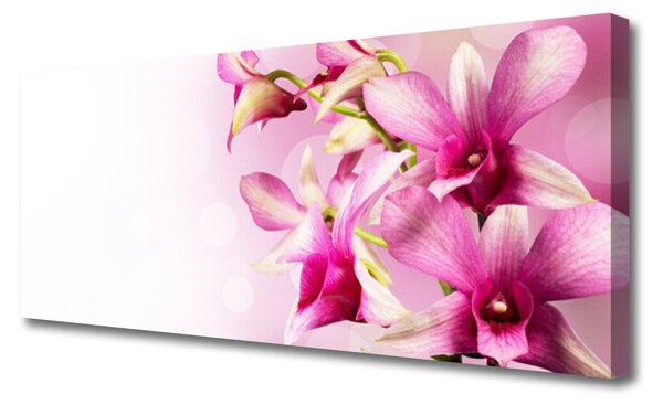 Tablou pe panza canvas Flori roz Floral