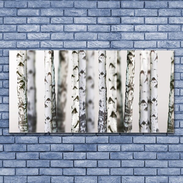 Tablou pe panza canvas Copaci Natura Negru Alb
