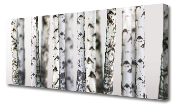 Tablou pe panza canvas Copaci Natura Negru Alb