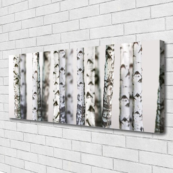 Tablou pe panza canvas Copaci Natura Negru Alb