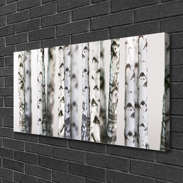 Tablou pe panza canvas Copaci Natura Negru Alb