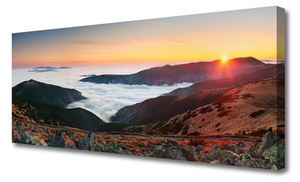 Tablou pe panza canvas Rezervat Peisaj Brun Gri Alb Galben
