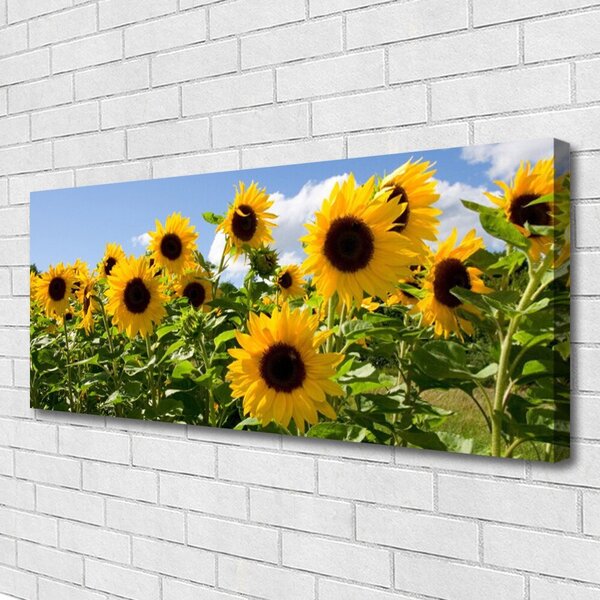 Tablou pe panza canvas Floarea soarelui Floral Brun Galben Verde