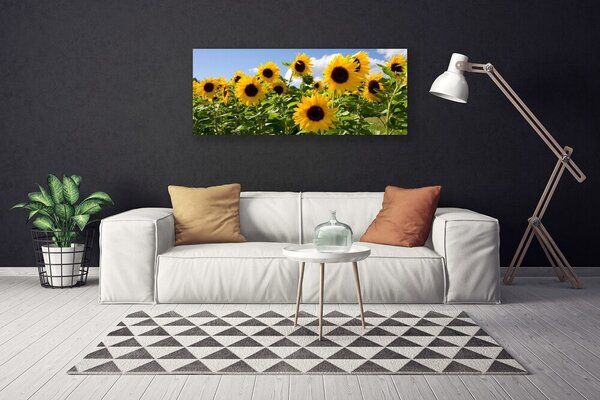 Tablou pe panza canvas Floarea soarelui Floral Brun Galben Verde