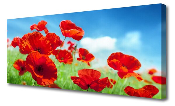 Tablou pe panza canvas Maci Floral Red