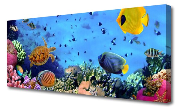 Tablou pe panza canvas Coral Reef Natura Multi