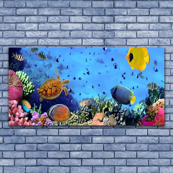 Tablou pe sticla Coral Reef Natura Multi