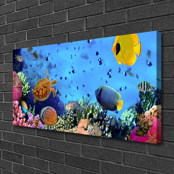 Tablou pe panza canvas Coral Reef Natura Multi