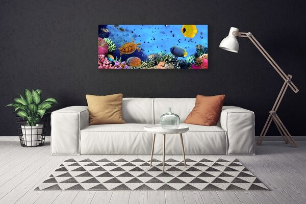 Tablou pe panza canvas Coral Reef Natura Multi