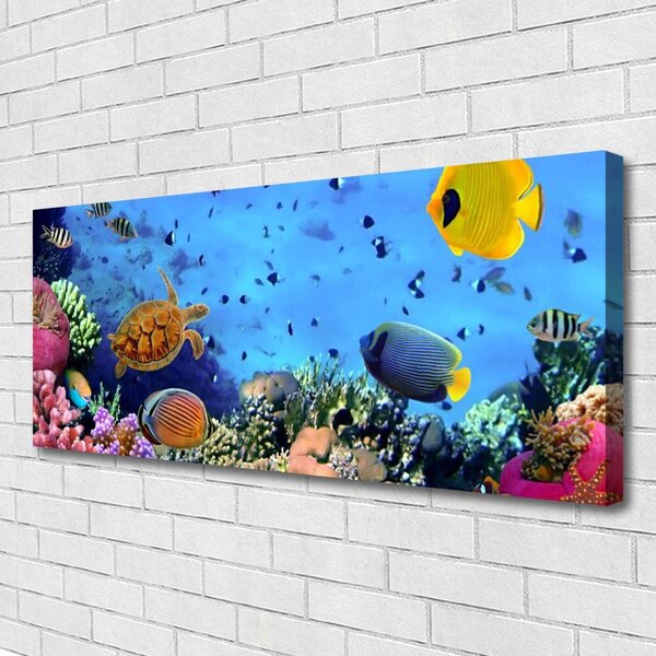 Tablou pe panza canvas Coral Reef Natura Multi