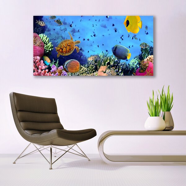Tablou pe sticla Coral Reef Natura Multi
