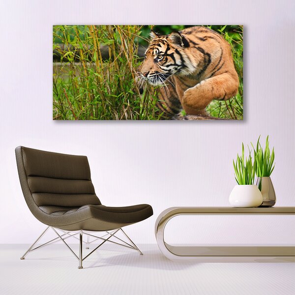 Tablou pe panza canvas Tigru Animale Maro Negru