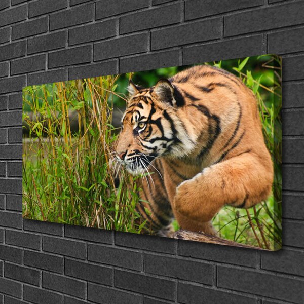 Tablou pe panza canvas Tigru Animale Maro Negru