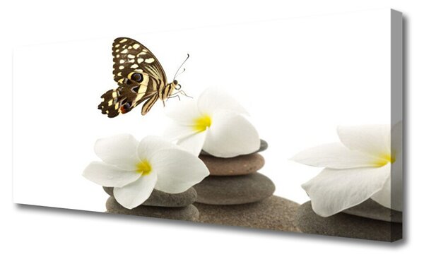 Tablou pe panza canvas Butterfly Pietre florale flori verde Alb Gri
