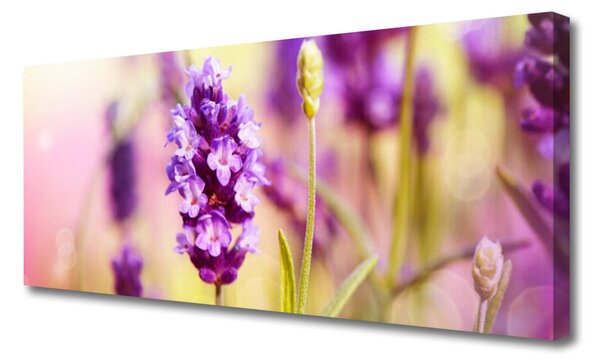 Tablou pe panza canvas Flori roz Floral