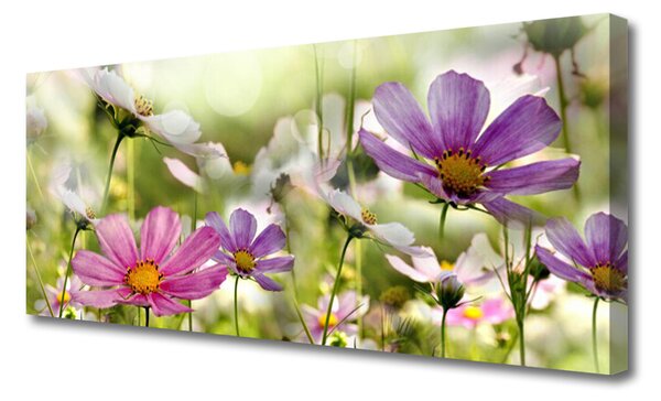 Tablou pe panza canvas Flori Natura Roz Galben Verde