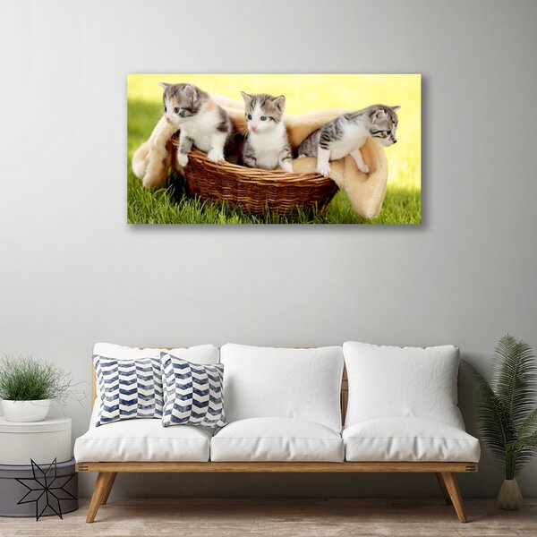 Tablou pe panza canvas Pisici Animale Gri Alb Maro