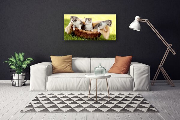 Tablou pe panza canvas Pisici Animale Gri Alb Maro