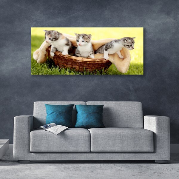 Tablou pe panza canvas Pisici Animale Gri Alb Maro