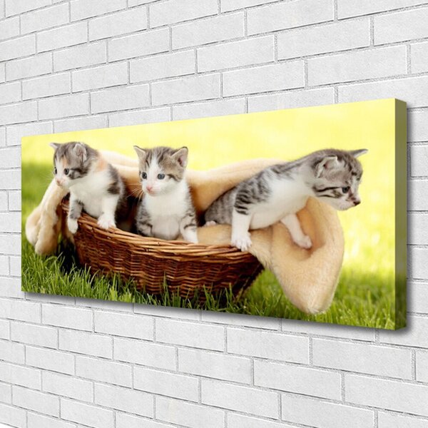 Tablou pe panza canvas Pisici Animale Gri Alb Maro