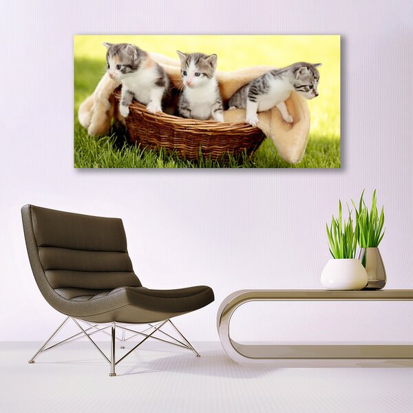 Tablou pe panza canvas Pisici Animale Gri Alb Maro