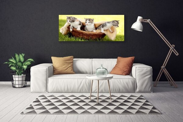 Tablou pe panza canvas Pisici Animale Gri Alb Maro