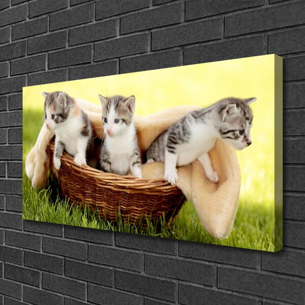 Tablou pe panza canvas Pisici Animale Gri Alb Maro