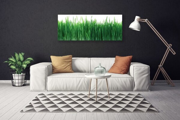 Tablou pe panza canvas Weed Natura verde
