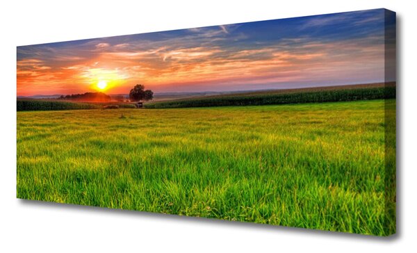 Tablou pe panza canvas Meadow Sun Natura Verde Galben Violet