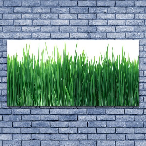 Tablou pe panza canvas Weed Natura verde