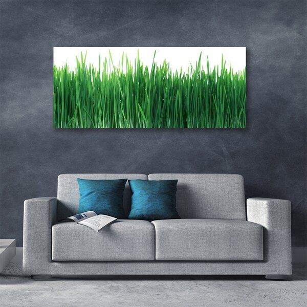 Tablou pe panza canvas Weed Natura verde