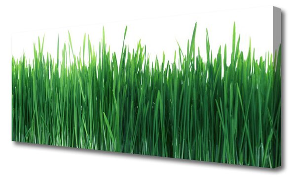 Tablou pe panza canvas Weed Natura verde