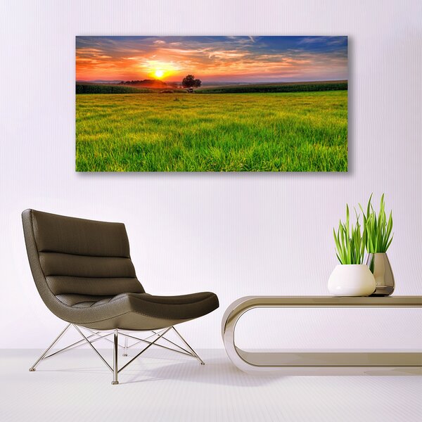 Tablou pe panza canvas Meadow Sun Natura Verde Galben Violet