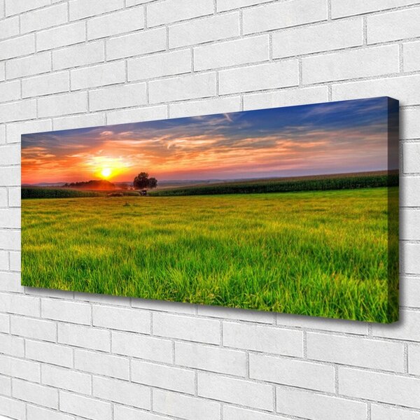Tablou pe panza canvas Meadow Sun Natura Verde Galben Violet