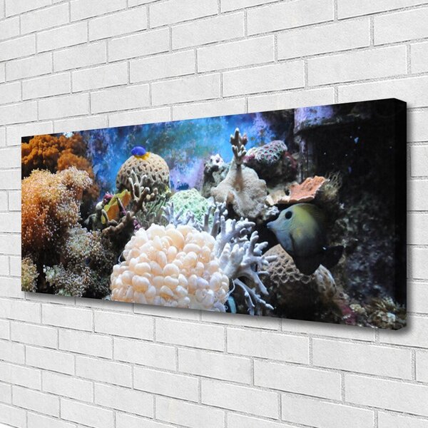 Tablou pe panza canvas Coral Reef Natura Gri Alb Galben