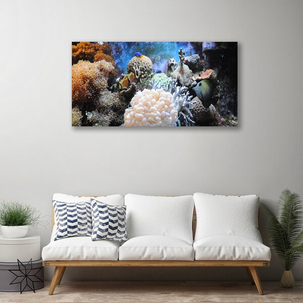 Tablou pe panza canvas Coral Reef Natura Gri Alb Galben