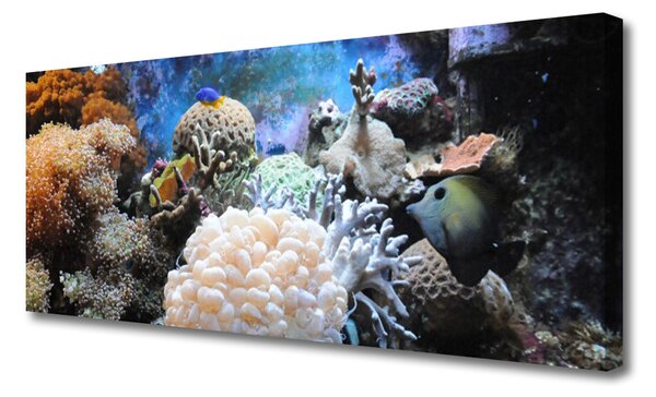 Tablou pe panza canvas Coral Reef Natura Gri Alb Galben