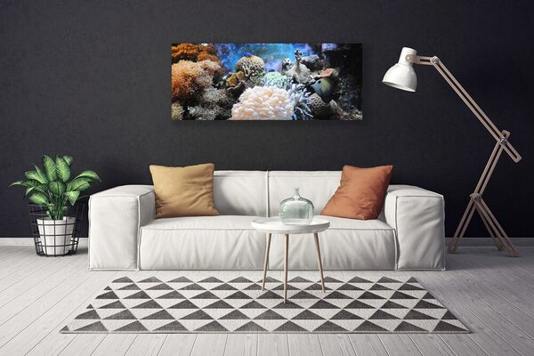 Tablou pe panza canvas Coral Reef Natura Gri Alb Galben