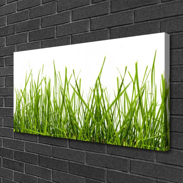 Tablou pe panza canvas Iarbă Natura verde