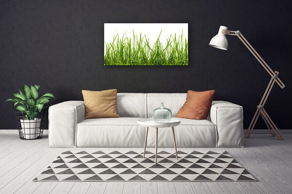 Tablou pe panza canvas Iarbă Natura verde