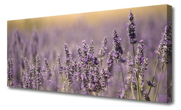Tablou pe panza canvas Flori Floral violet