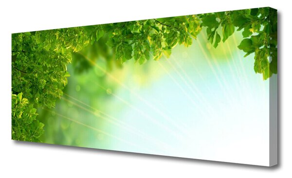 Tablou pe panza canvas Frunze Natura verde