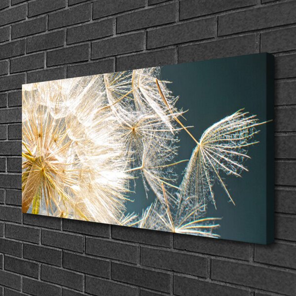 Tablou pe panza canvas Păpădie Floral Alb