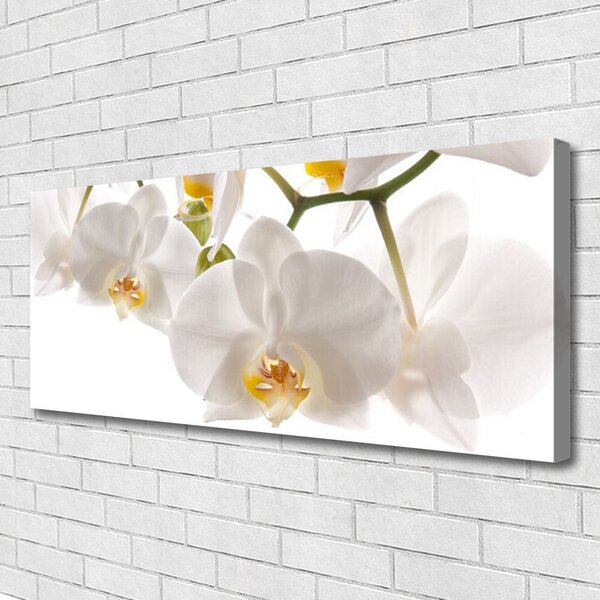 Tablou pe panza canvas Flori Floral alb