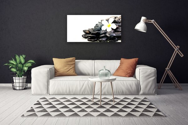 Tablou pe panza canvas Pietrele de flori Arta Alb Negru