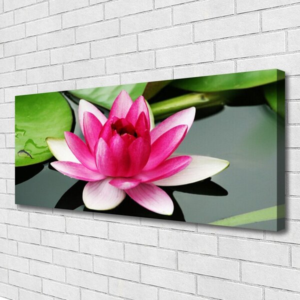 Tablou pe panza canvas Florale flori Roșu Alb