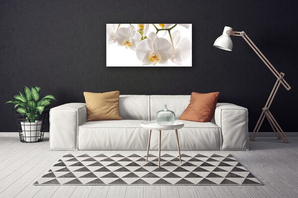 Tablou pe panza canvas Flori Floral alb