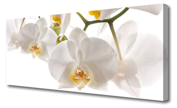 Tablou pe panza canvas Flori Floral alb