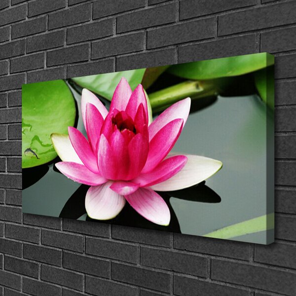 Tablou pe panza canvas Florale flori Roșu Alb
