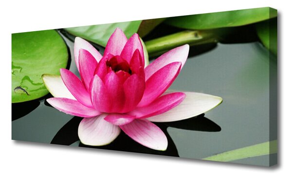Tablou pe panza canvas Florale flori Roșu Alb